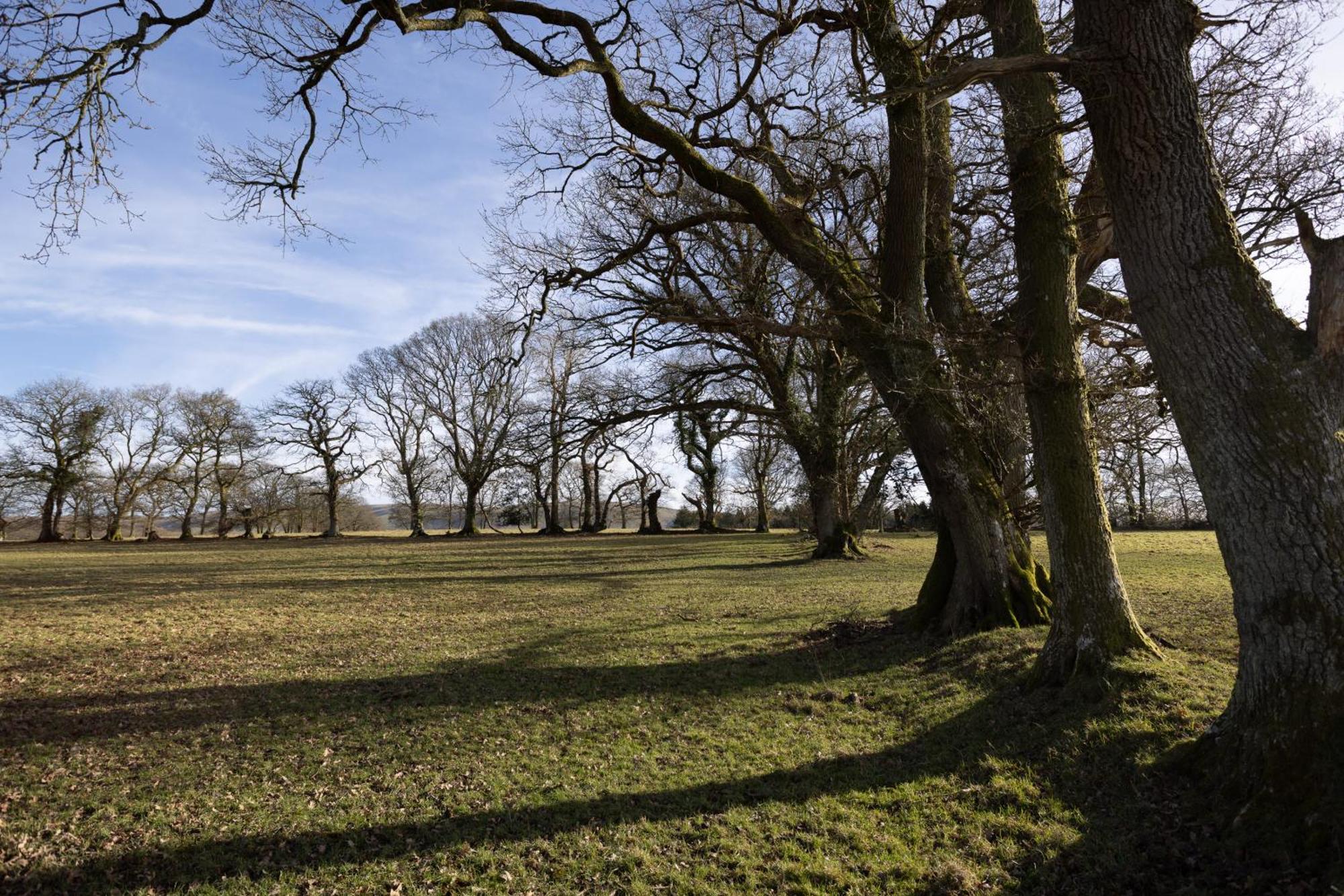 Brecon Beacons With Stunning Country Views Myddfai